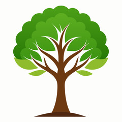 Vector illustration of a stylized green tree with a thick brown trunk and full leafy crown. Simple, flat design suitable for nature, ecology, or environmental themes.

