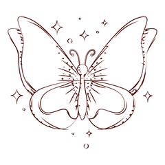 Butterfly line art style. Vector