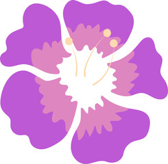 Violet Flower Blossom
