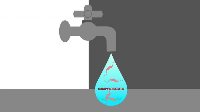 水道水でカンピロバクター食中毒
