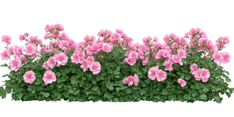 Delicate pink blossoms amidst lush greenery create a charming floral arrangement