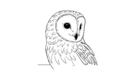 Fototapeta premium Barn owl line art illustration for coloring pages and educational material depicting an owl in a simple yet detailed outline