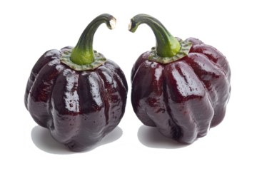 Two dark purple peppers sitting closely with curly green stems against black background