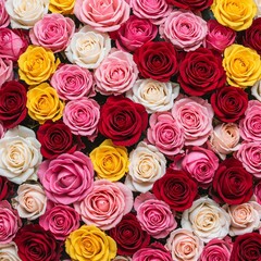 colorful roses background