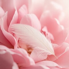 pink feathers background