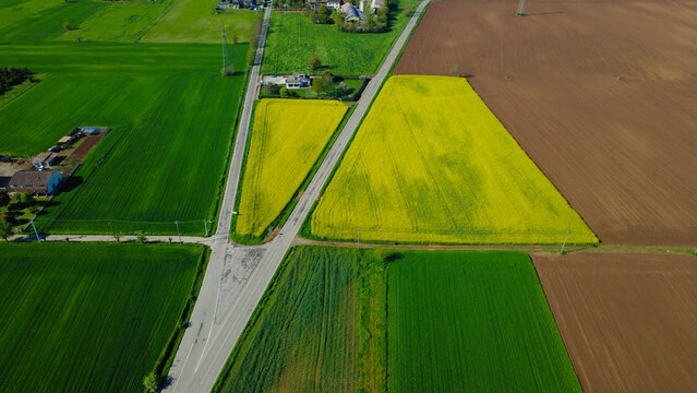 Aerial view of a road through farmland between San Giuliano Vecchio and Nuovo, Alessandria, Piedmont, Italy