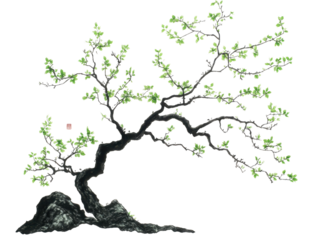 Elegant stylized tree with sprouting leaves reminiscent of East Asian art traditions