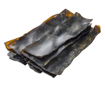 Harvesting kombu seaweed coastal waters food nature aerial view isolated on transparent background