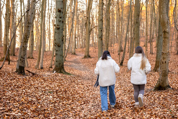 Two female friends on a walk in the forest. Friends walking through the forest. People in nature.