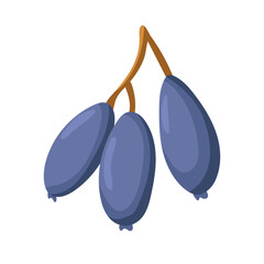 Honeyberry. Flat vector, clipart illustration isolated on white background.