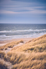 Scenic dune at danish north sea coast. High quality photo