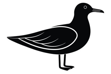 seagull vector icon