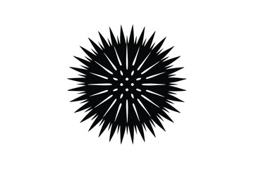 Fototapeta premium sea urchin vector icon
