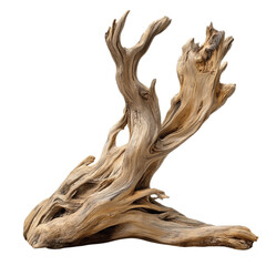 Fototapeta premium Unique Desert Driftwood Sculpture Natural Wood Art Piece form brown beige decor shape image design 