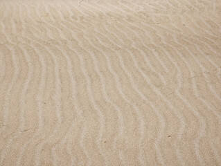 Top view texture of fine smooth dry Mediterranean beige beach sand, wavy pattern, ripples, natural shadows, grainy wave textures, rippled sandy surface, Valencia, Spain, summer background.