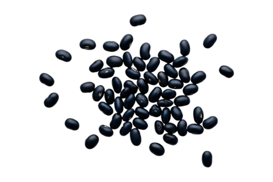 black beans on transparent background