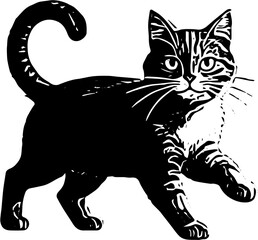 black cat vector illustration