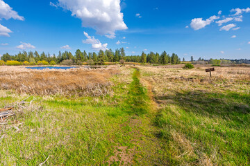 View from the Pine Lake Loop Trail of the swampy footpath between Middle Pine Lake and Winslow Pool...