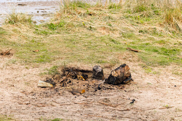 Old Beach Campfire Pit with Charred Stones, Sandy Grass Dunes and Coastal Scenery