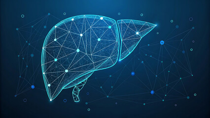 Human liver research. Wireframe low poly style. Concept for medical, pharmacology, treatment of the hepatitis. Abstract modern 3d vector illustration on dark blue background.