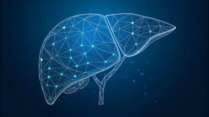 Human liver research. Wireframe low poly style. Concept for medical, pharmacology, treatment of the hepatitis. Abstract modern 3d vector illustration on dark blue background.