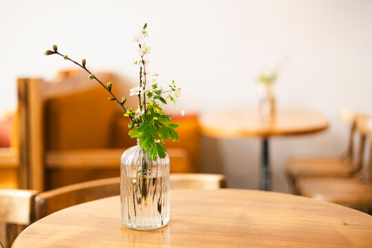 Blossoms in a vase create a cozy cafe atmosphere