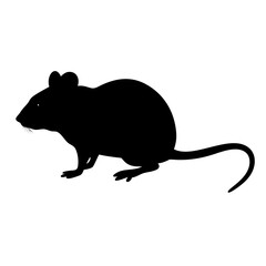 Isolated black silhouette of a mouse rodent vector illustration pest control animal image art