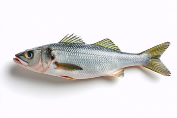 Obraz premium Whole fish resting on bright white surface showcasing fresh textures and details. Concept of seafood industry, culinary arts, gourmet cooking