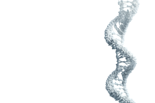DNA Helix Structure in High Detail Scientific Visualization for Genetics Research and Educatio