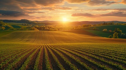 Vibrant Sunset Over Serene Rolling Hills and Lush Green Fields