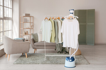 Modern steamer and clothes on hanger in room