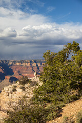 View from Shoshone Point at Grand Canyon National Park, Arizona
