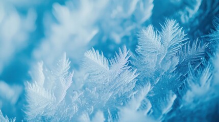 Frozen beauty, intricate ice crystals
