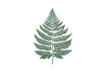 Obraz premium Single Fern Leaf Botanical Illustration Green Foliage Nature Design Element