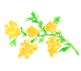 Branch with mimosa flowers on white background, plant, nature. Art, painting. Encaustic, art decoration, sketch. Illustration hand drawn modern, hot wax new