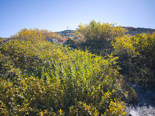 Naklejka premium Panorama of Vitosha Mountain near Cherni Vrah peak, Bulgaria