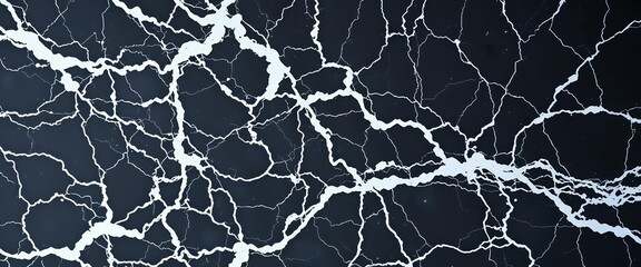 Intricate white veining on deep black marble background, prestige, elegant background