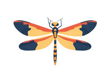 Vibrant Dragonfly with Colorful Wings and Intricate Patterns