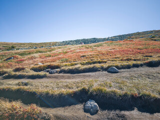 Panorama of Vitosha Mountain near Cherni Vrah peak, Bulgaria