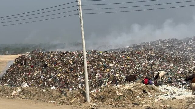 Children and Animals Scavenge in Plastic-Filled Landfill in Cox&rsquo;s Bazar, Bangladesh &ndash; Poverty, Hunger, and Environmental Crisis, February 16, 2024
