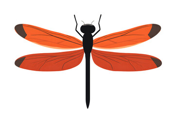 Vibrant Orange Insect with Detailed Wings Perfect for Nature and Wildlife Themes