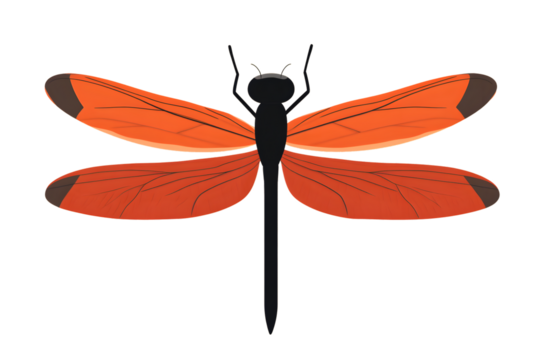 Vibrant Orange Insect with Detailed Wings Perfect for Nature and Wildlife Themes - Powered by Adobe