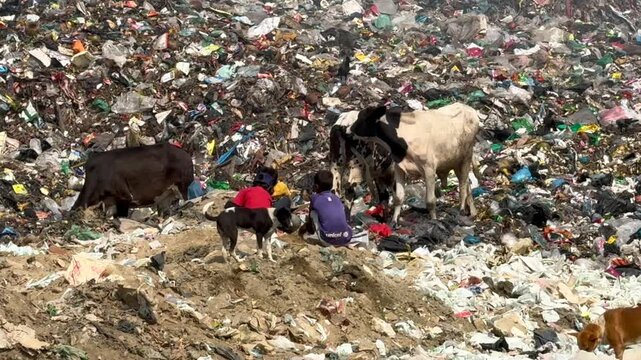 Children and Animals Foraging Through Landfill in Cox&rsquo;s Bazar, Bangladesh &ndash; Environmental Crisis and Poverty, February 16, 2024