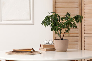 Eyeglasses with books and plant on dining table in room