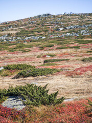 Panorama of Vitosha Mountain near Cherni Vrah peak, Bulgaria