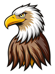 american bald eagle vector illustration