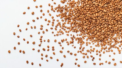 Naklejka premium Coffee beans scattered on a white background, minimal studio lighting generative ai