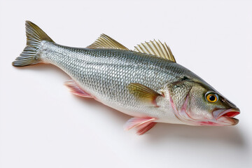 Obraz premium Realistic depiction of a whole fish with detailed scales and vivid colors. Clean neutral background enhances the visual focus. Concept of seafood industry, culinary arts, fish markets