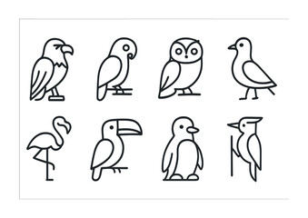 Birds icon set – outline style avian symbols for nature, wildlife, and ornithology: eagle, parrot, owl, pigeon, flamingo, toucan, penguin, woodpecker.