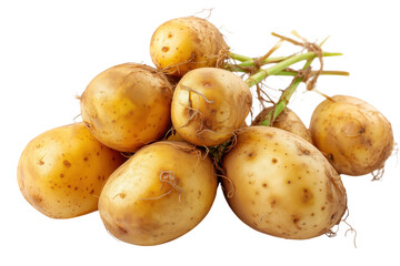 A Collection Of Freshly Harvested Yellow Potatoes With Soil On A Transparent Background